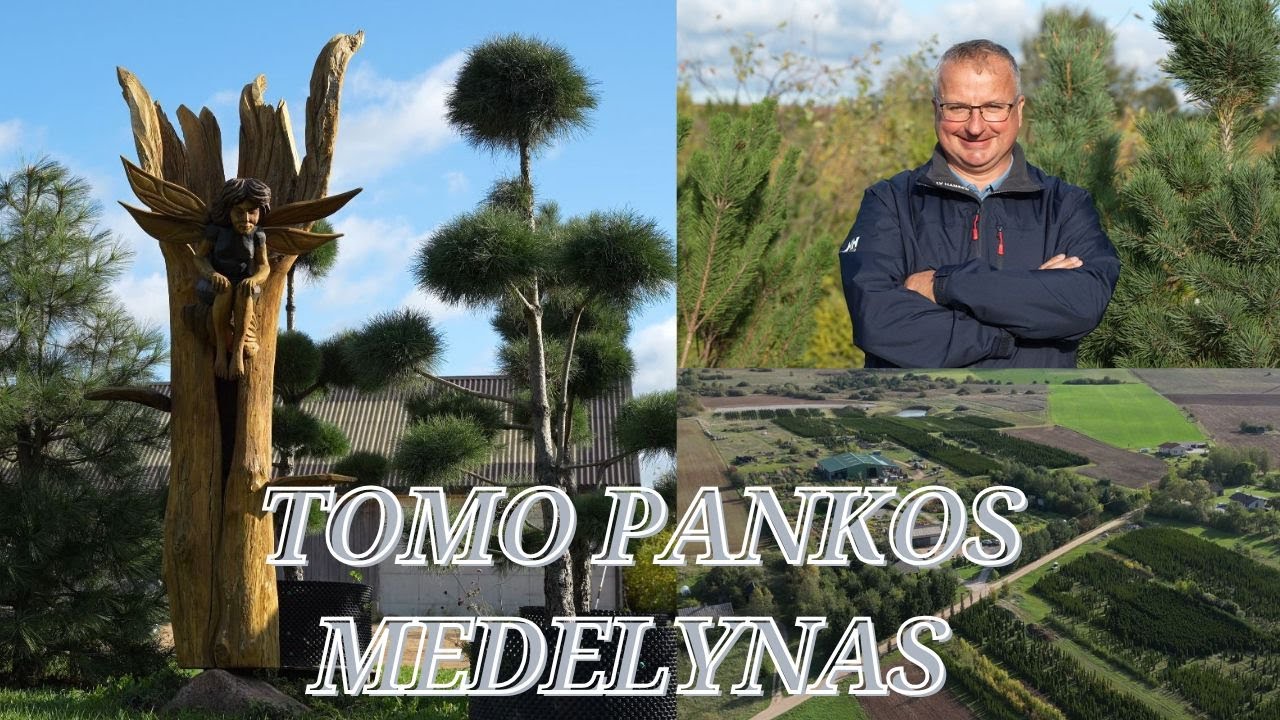 Tomo Pankos medelynas Raudonikių km. Alytaus rajone 2024 m.