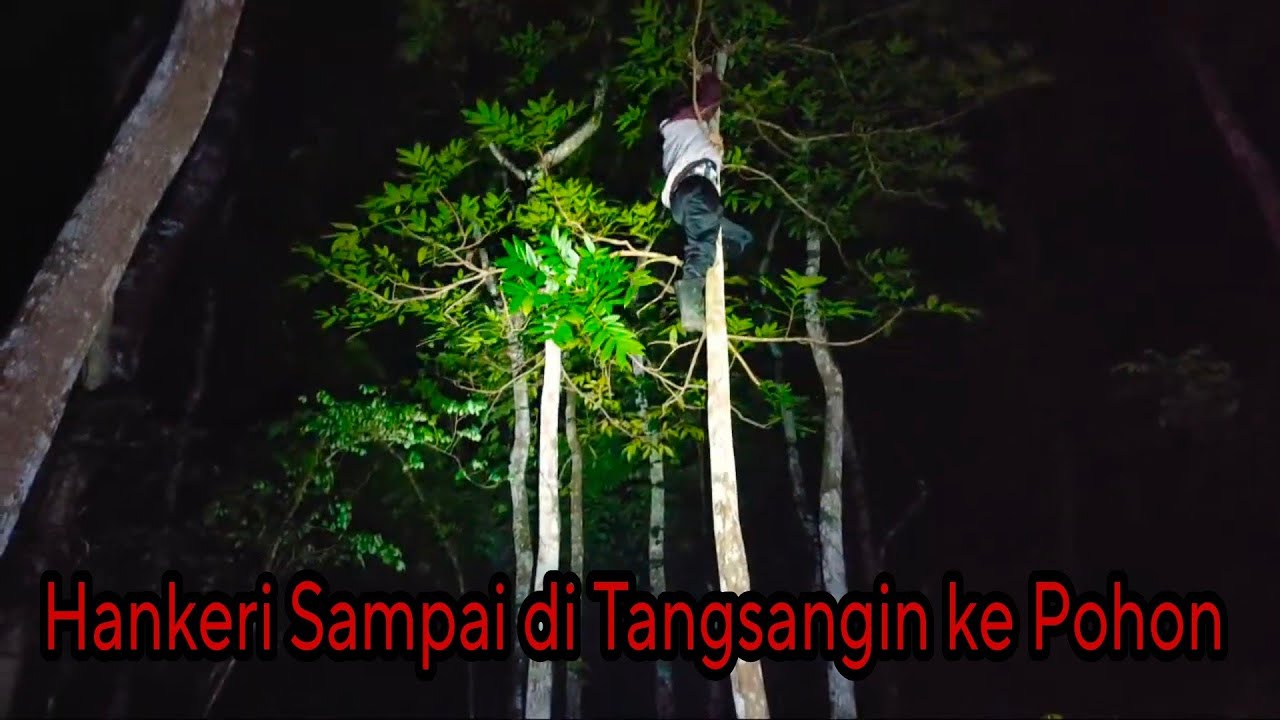 Hankeri Hilang Kontak