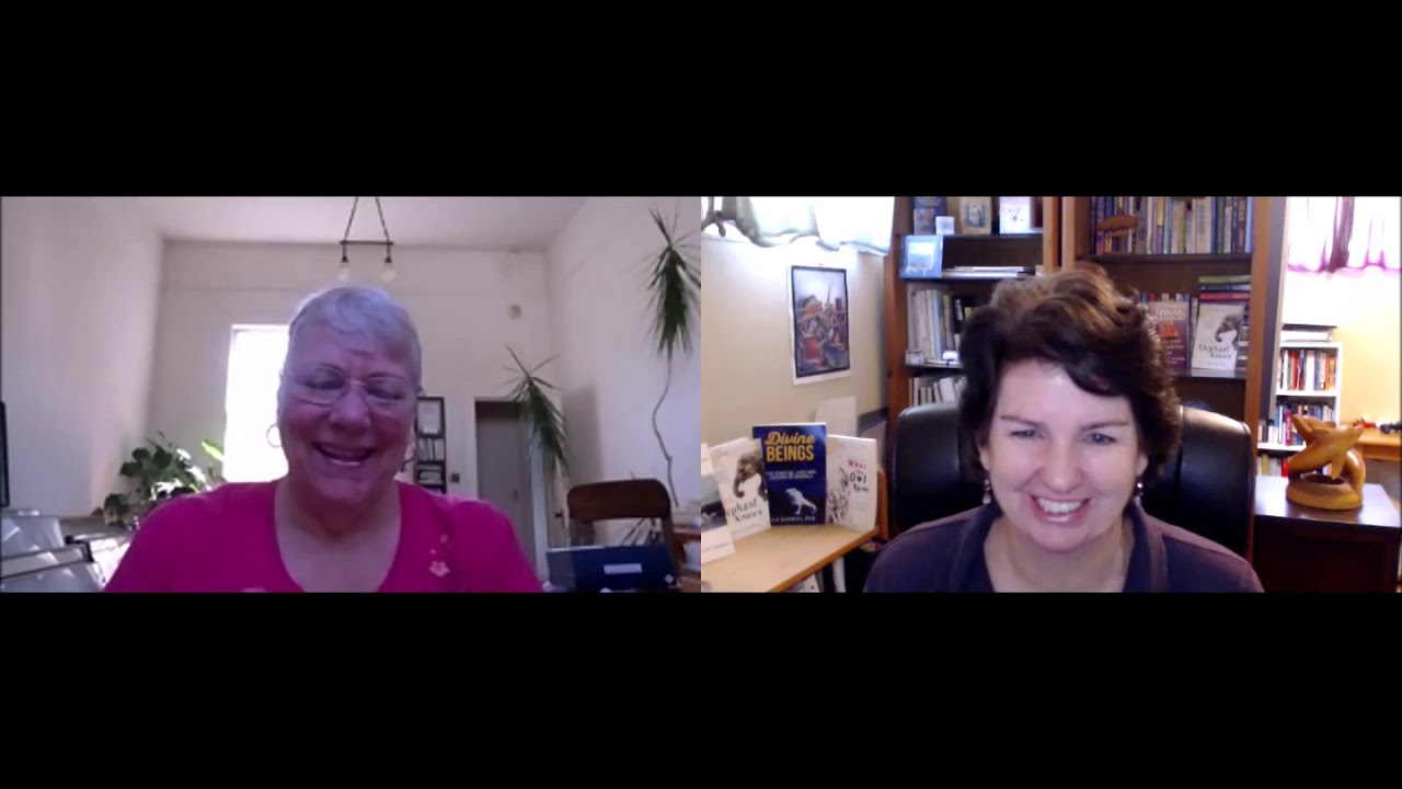 Animal Wisdom Circle - Jenny Smith testimonial