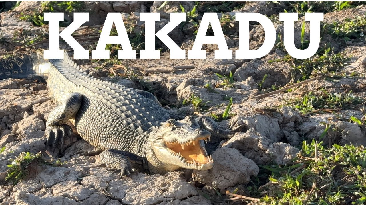 Kakadu: The Ultimate Adventure... Without 4WD!
