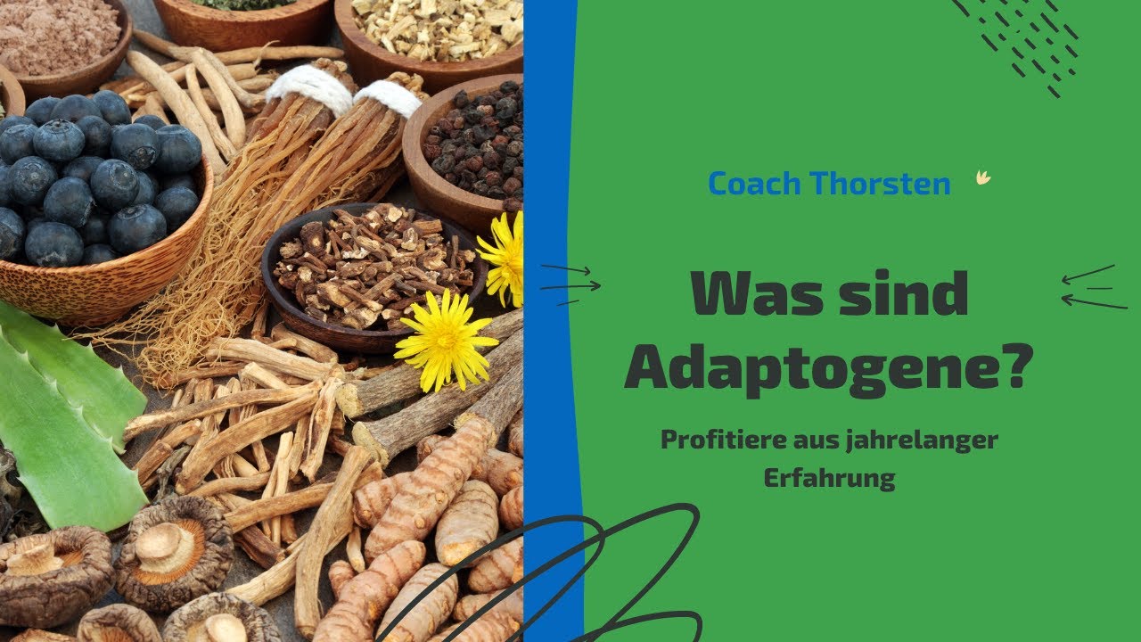 Was sind Adaptogene?