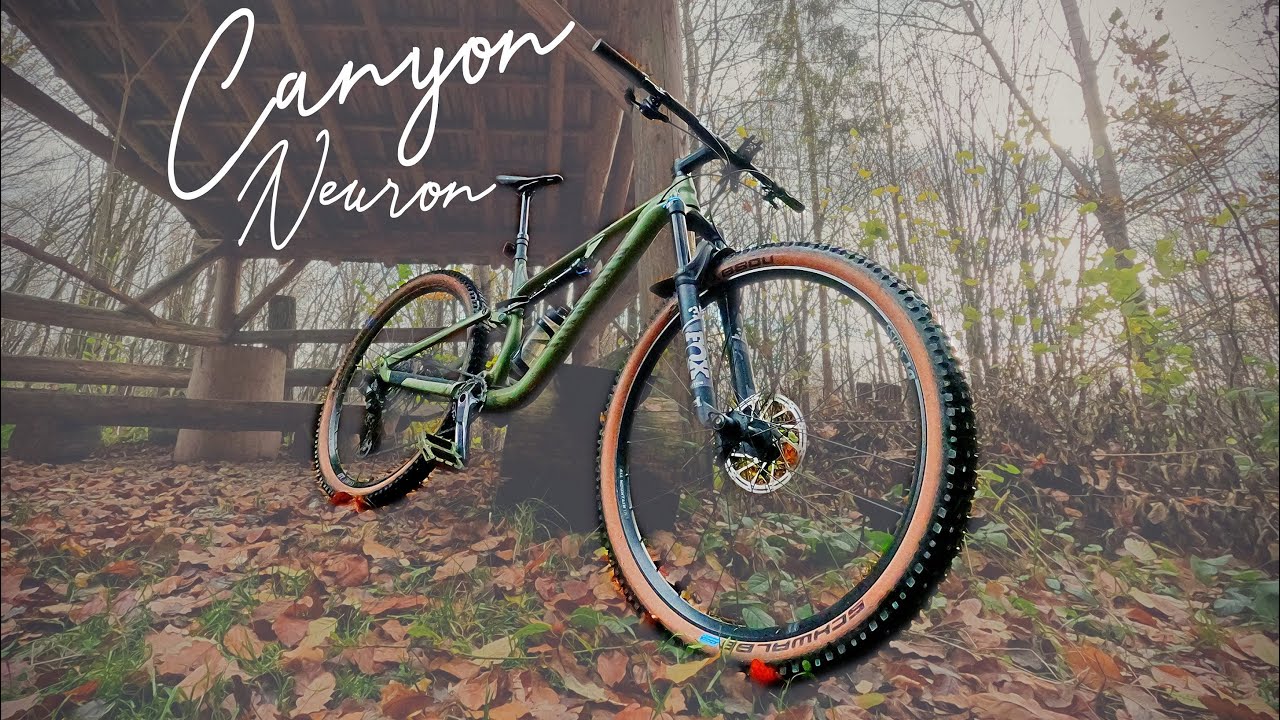 Canyon Neuron in the Fascinating Autumn Scenery I Deep Forest I ASMR I 4K