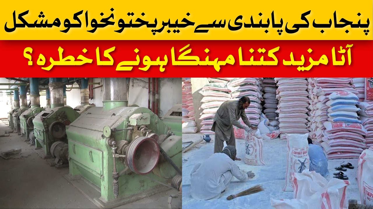 Flour Mills Begin to Shut Down! Reason Behind Ban on Wheat Supply from Punjab to KP | Dawn News