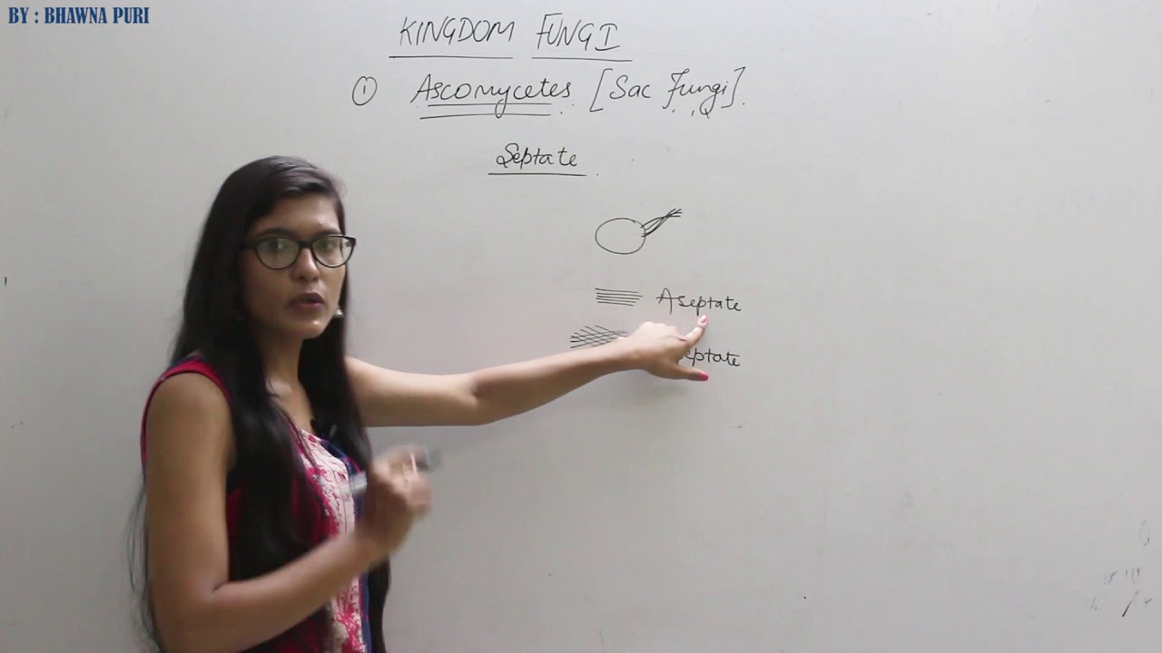 kingdom fungi II biological classification class 11 II the maharaj institute II neet II aiims