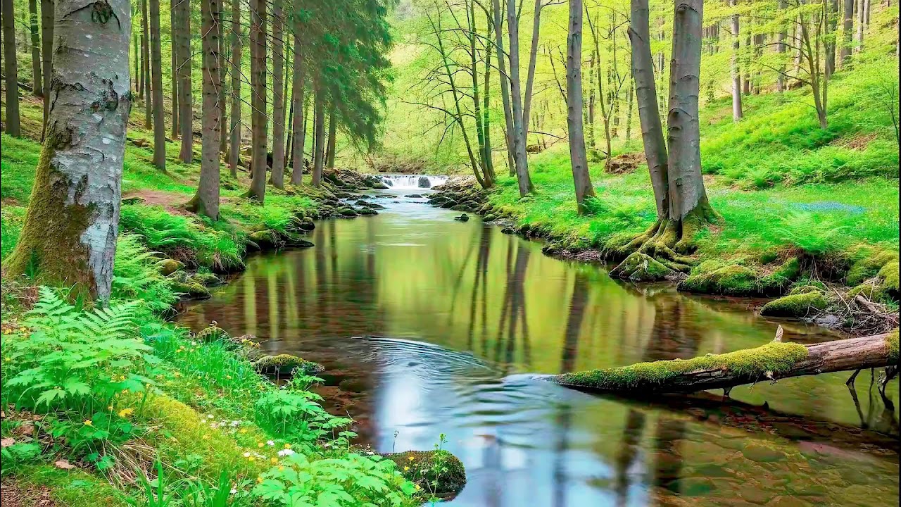 River Sound for Deep Sleep White Noise Flow with Forest Sound for Stress and Relaxation