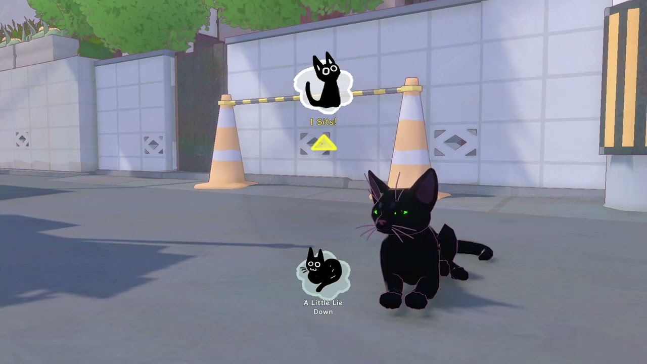 litle kitty big city