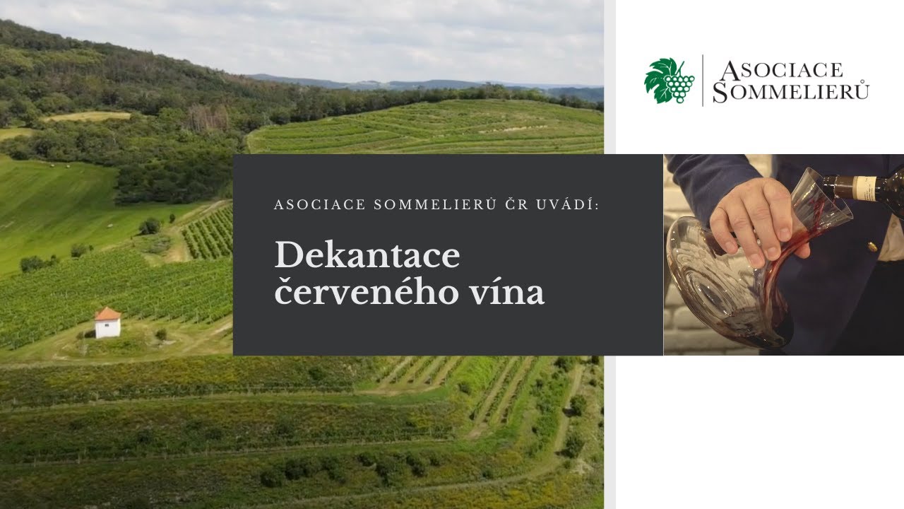 Asociace sommelierů ČR uvádí: Servis červeného vína v restauraci