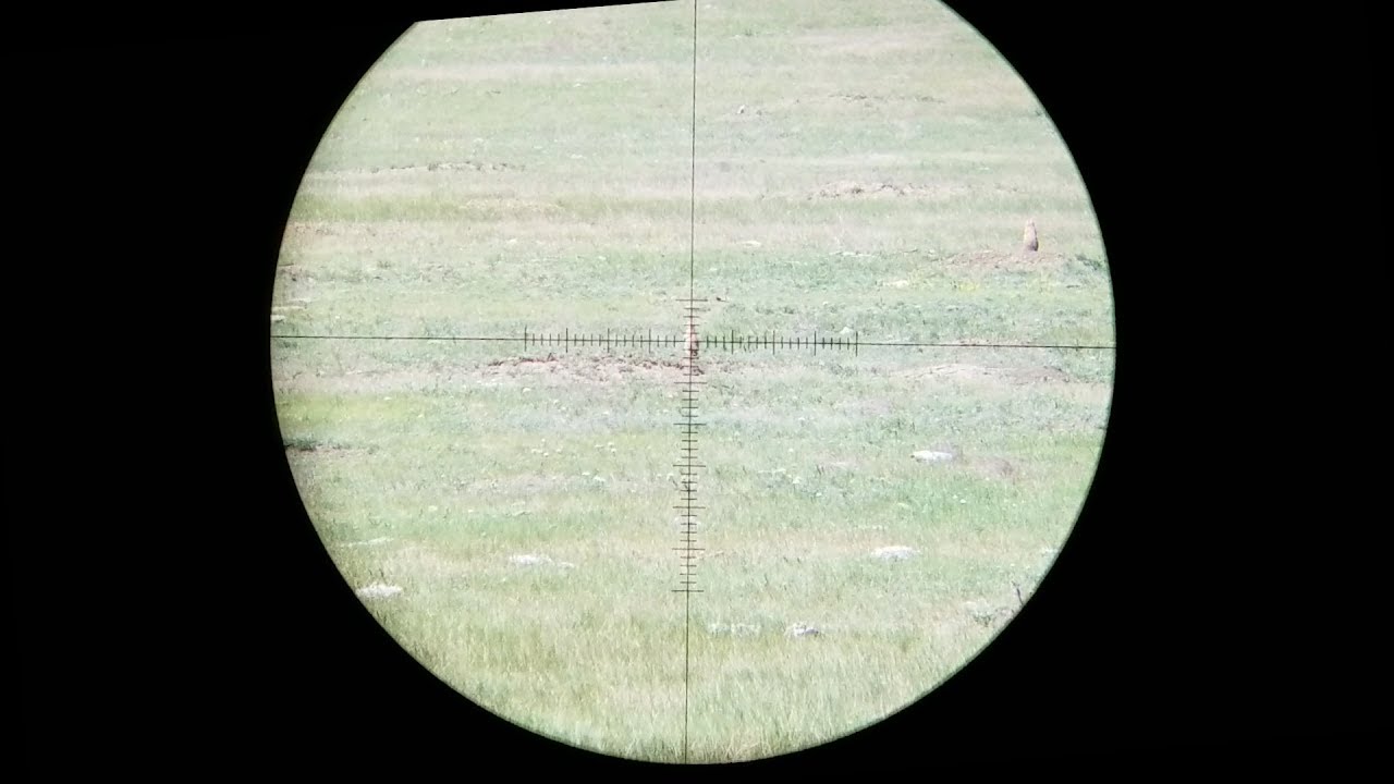 PRAIRIE DOG HUNT - SOUTH DAKOTA - WARNING: GRAPHIC