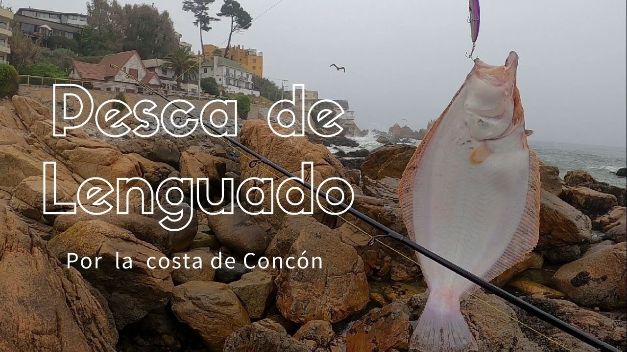Pesca de lenguado por  la costa de  Concón!!! Mi primera salida de orilla por el sector.
