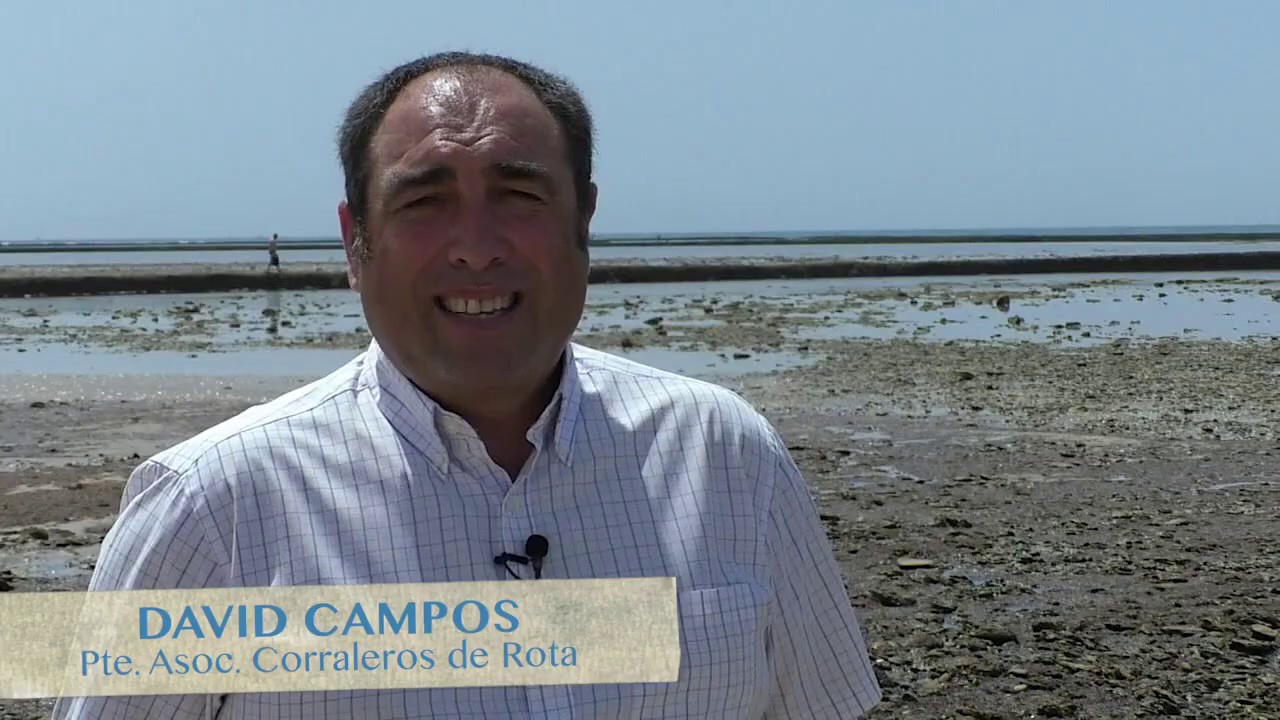 Reportaje sobre Los Corrales de Rota (octubre 2019)