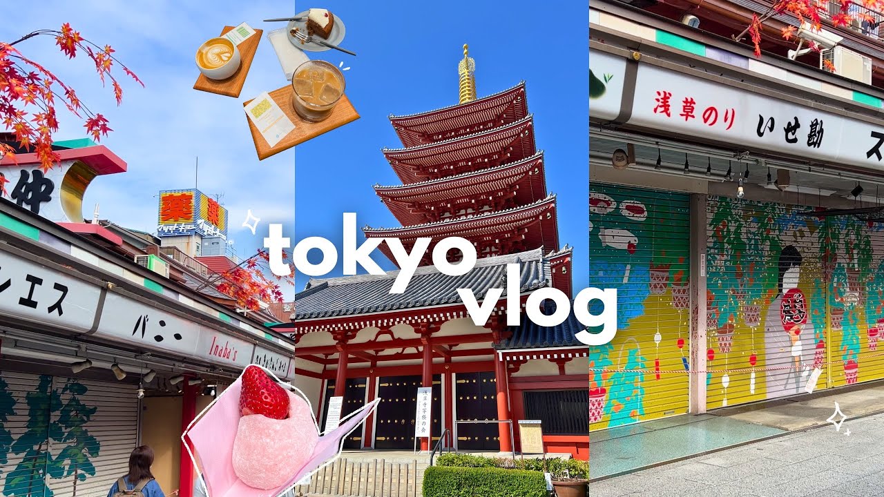 Видеоблог из Японии 🇯🇵 40 часов в Токио, популярные места, где можно вкусно поесть, исследование ...