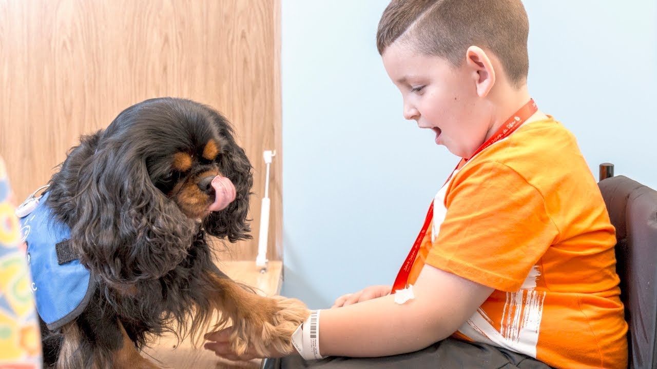 The Children's Friendly Hospital program - SJD Barcelona Children's Hospital