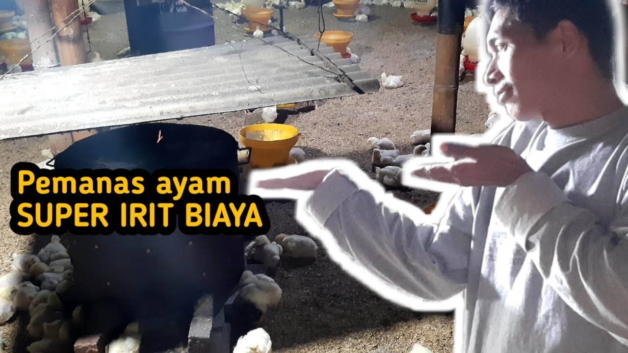 PEMANAS AYAM SEDERHANA SUPER HEMAT BIAYA