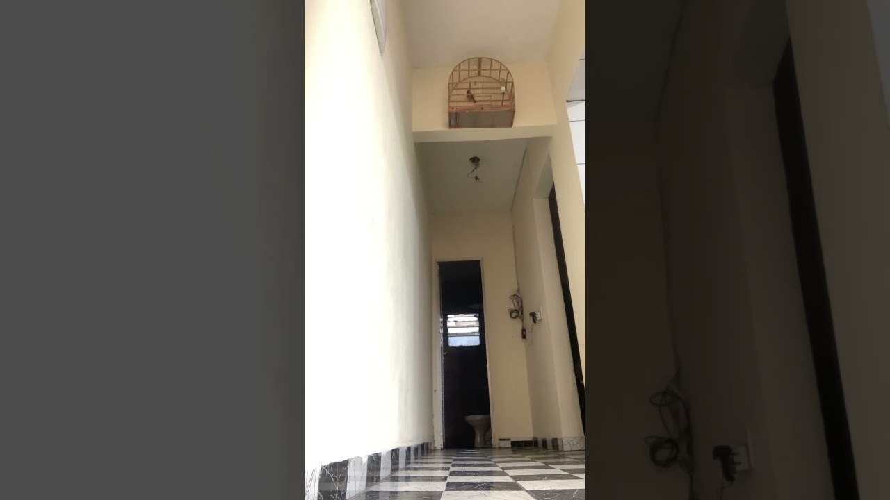 3h00 da manh&atilde;