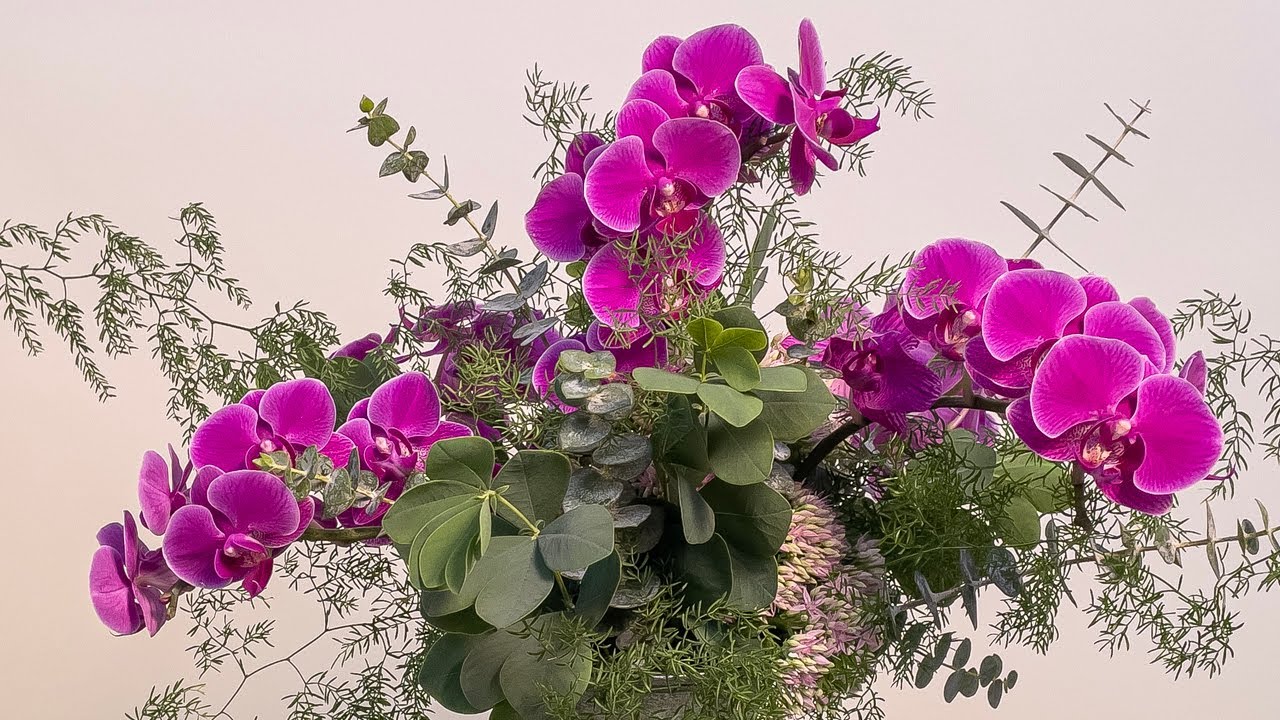 Simple Orchid Arrangement