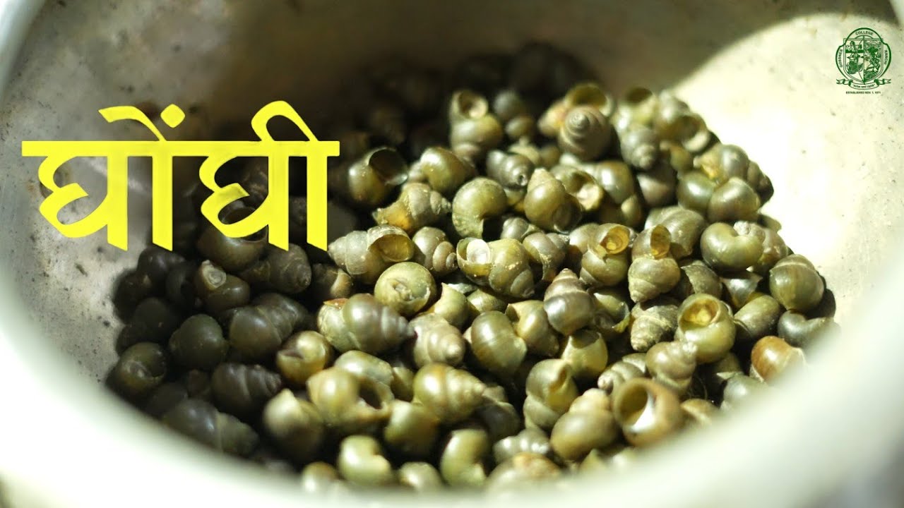 माटी कर औषधि | Mati kar Aushadhi| Episode no 04
