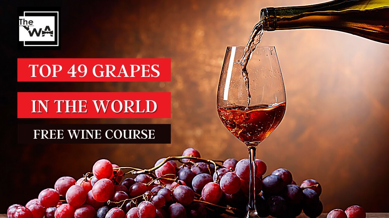 Top Wine Grapes in the World! Free Online Wine Course: Lesson 4.