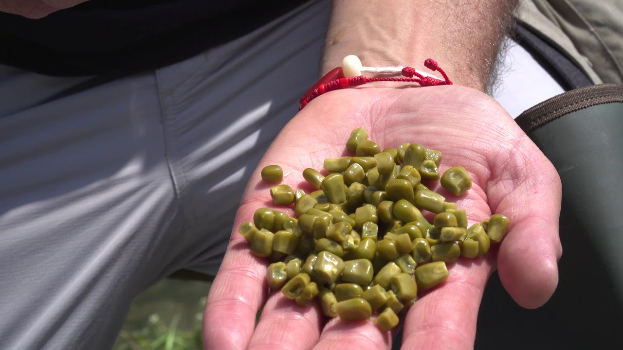 clip mais pescaviva aroma pellet