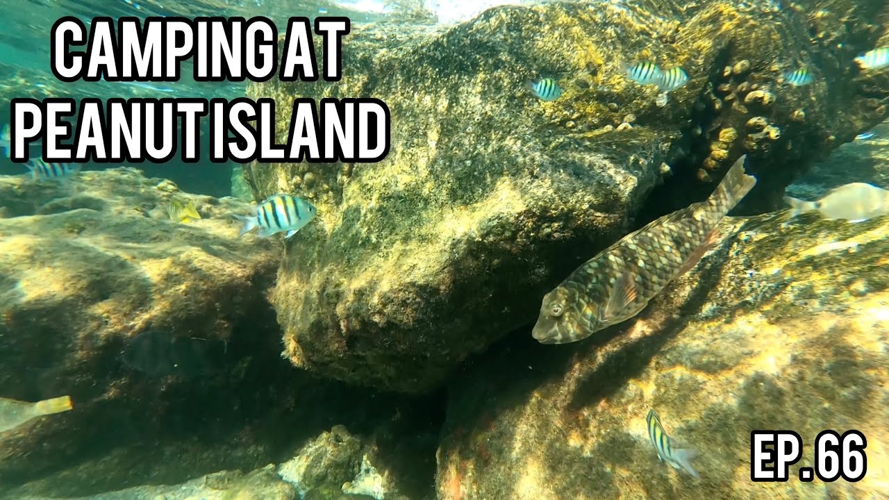 Peanut Island Camping Trip {EP. #66}