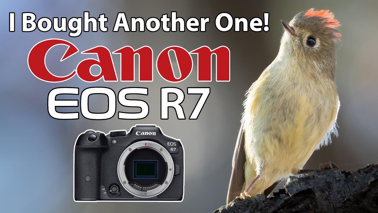 Я купил ещё один Canon R7! Птицы с объективом RF 100-500!
