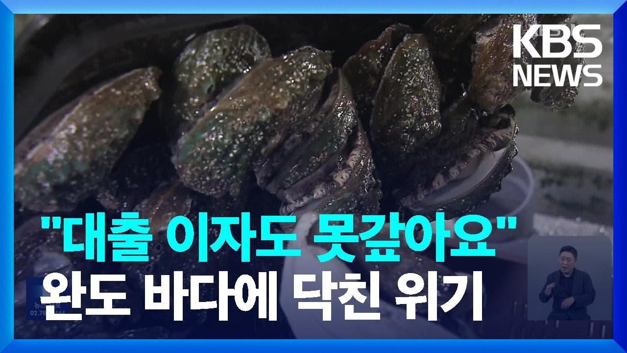‘완도 전복’ 소비부진에 가격하락…어민들 ‘시름’ / KBS  2023.08.18.