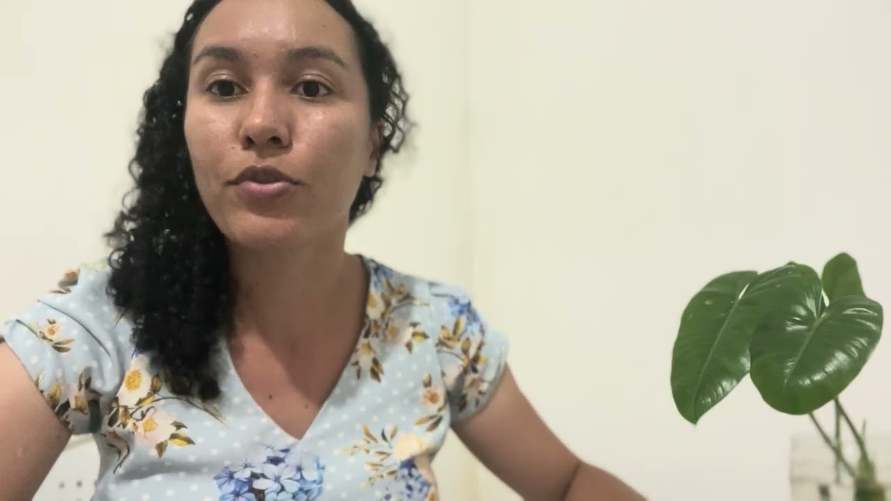 Do caos ao Recomeço: Gênesis 7