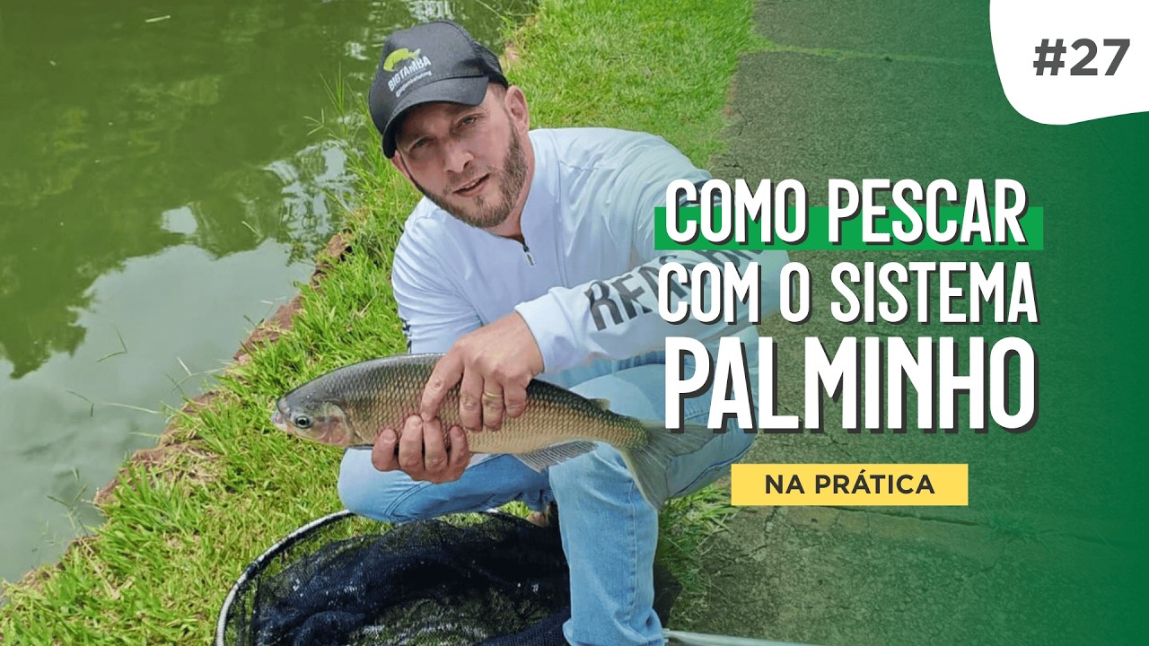 #DICA 27 - Como pescar com o Sistema Palminho (Na prática)