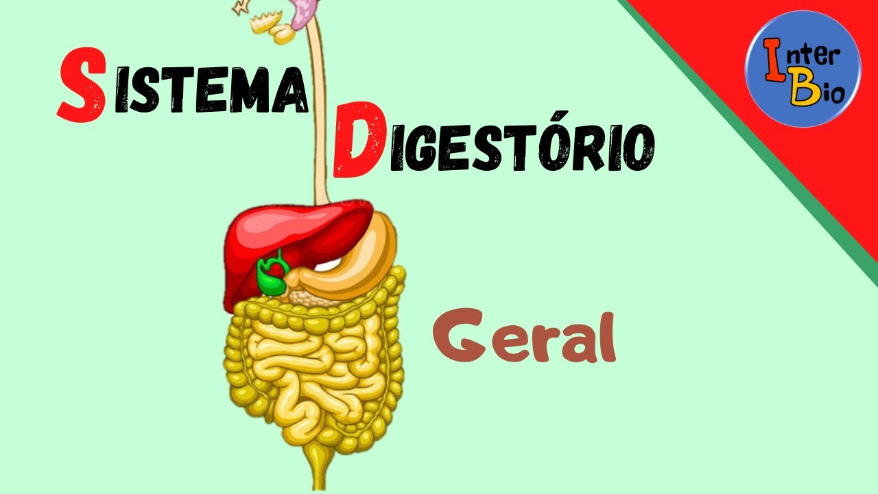 Sistema Digestório - Geral