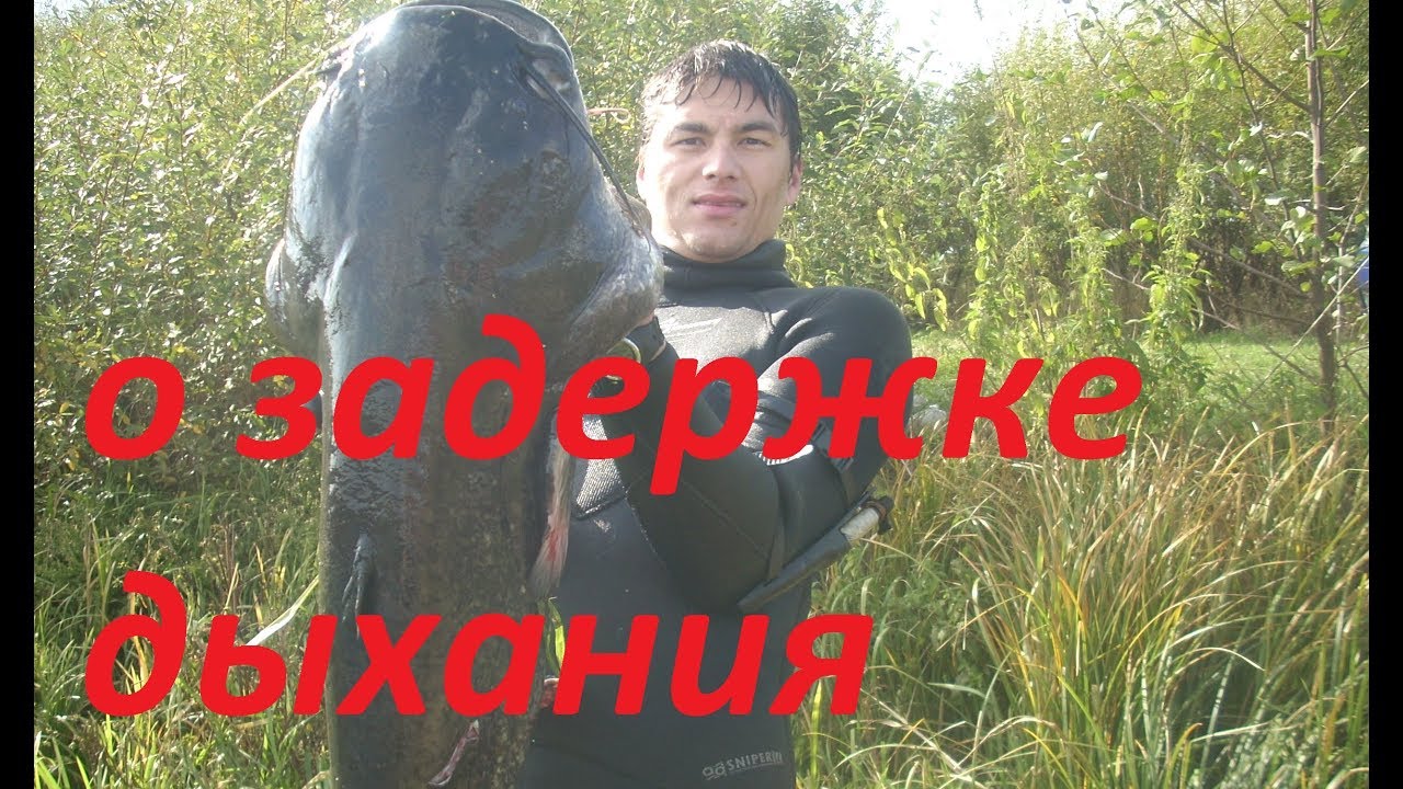 О задержке дыхания для начинающих подводных охотников.Подводная охота для новичков!
