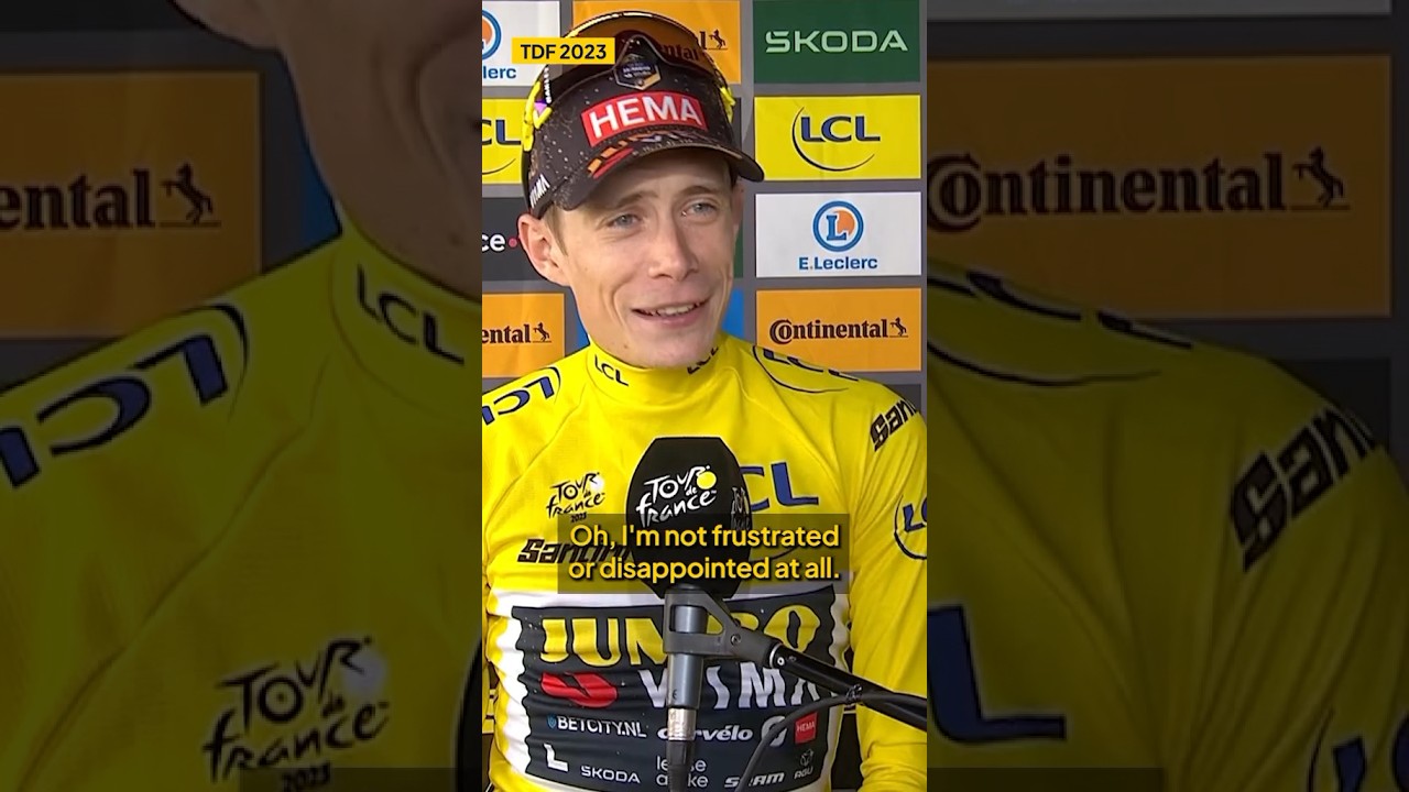 Йонас Вингегор не обеспокоен Тадеем Погачаром #tourdefrance2023