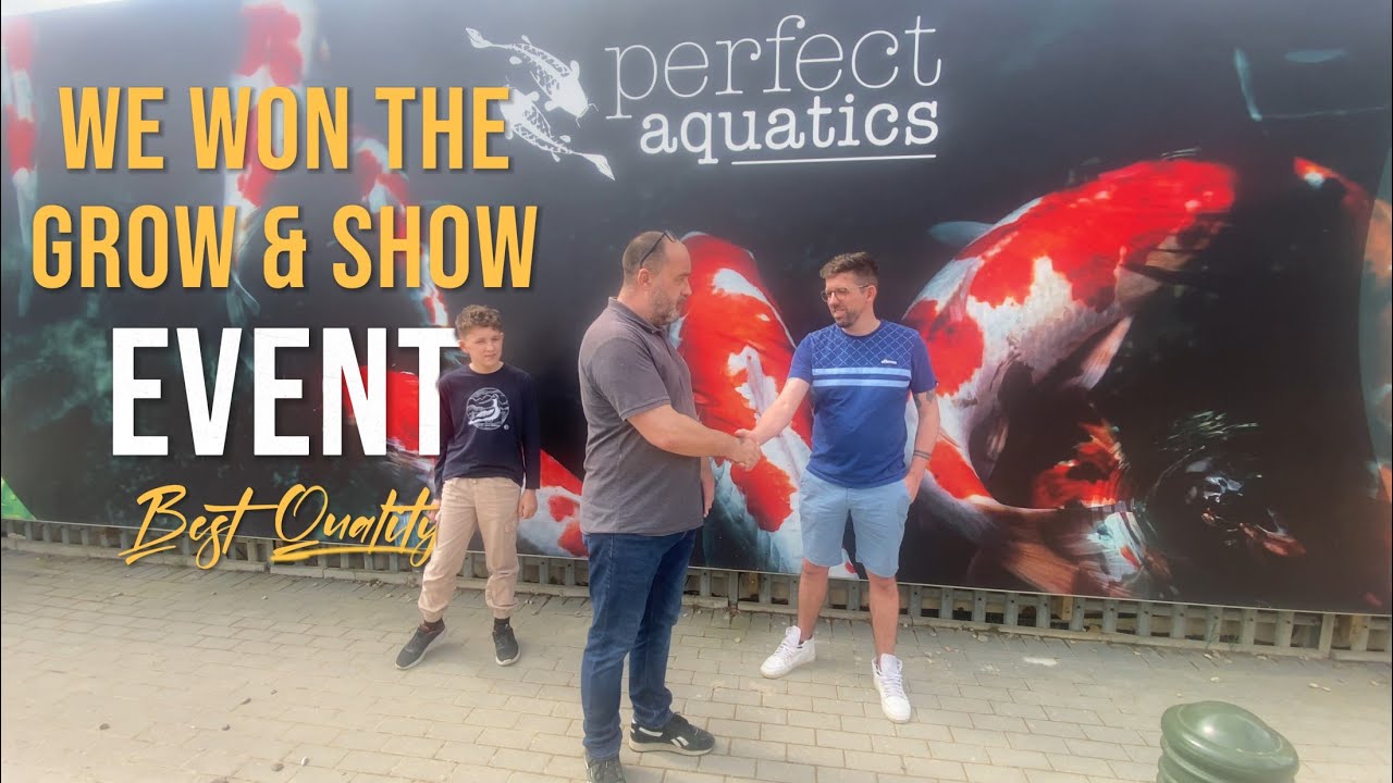 We Won!! The Grow & Show See our Winning Koi From Perfect Aquatics  @KraftyKoi  #koi #koifish #ponds
