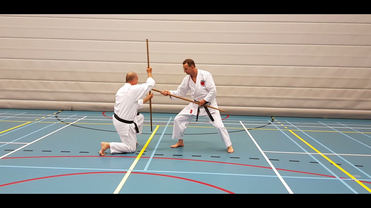 Comprehensive kumite Sakugawa 2