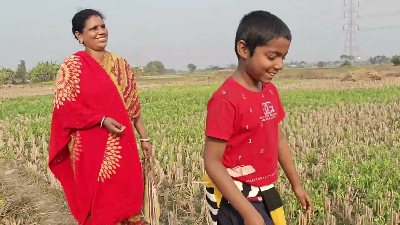 বাড়িতে অনুষ্ঠানের তোড়জোড় শুরু হচ্ছে। আলু বাগান কেমন হলো  ?