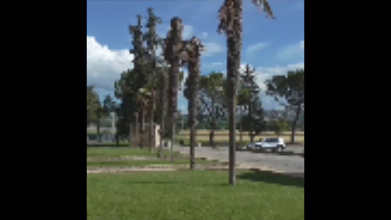 PIERO GIUSTOZZI scrive su La Rucola: 