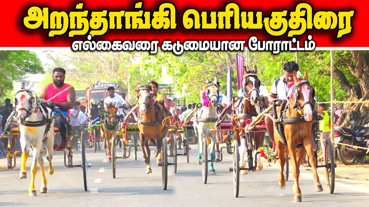 அறந்தாங்கி பெரியகுதிரை பந்தயம் 07.03.2026