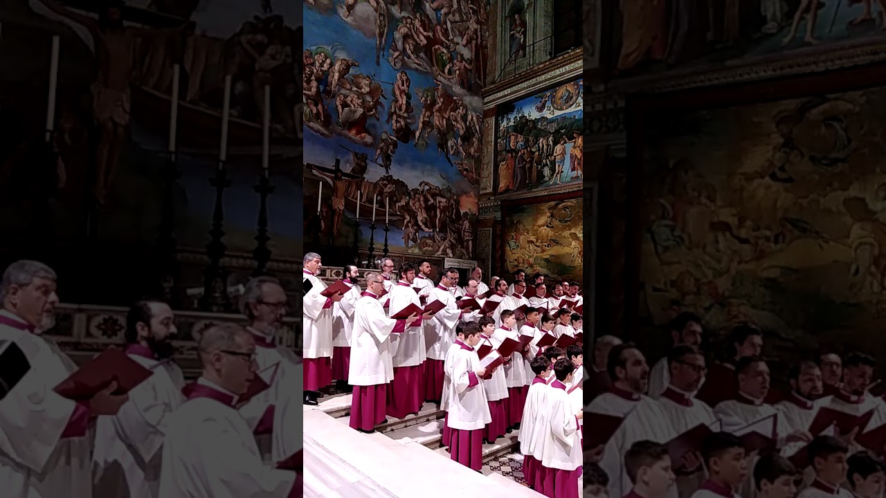 Tu es Petrus (Palestrina) Cappella Musicale Pontificia Sistina