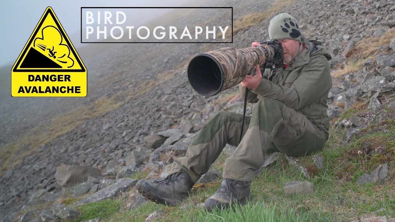 DANGEROUS BIRD PHOTOGRAPHY // Svalbard adventure - little auk