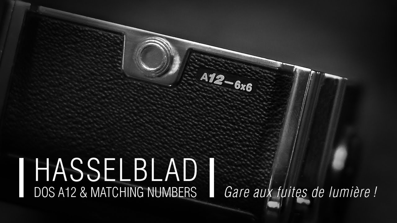 HASSELBLAD : 