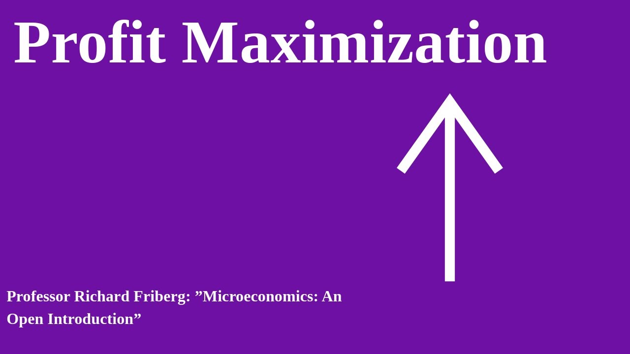 Profit maximization: The general case