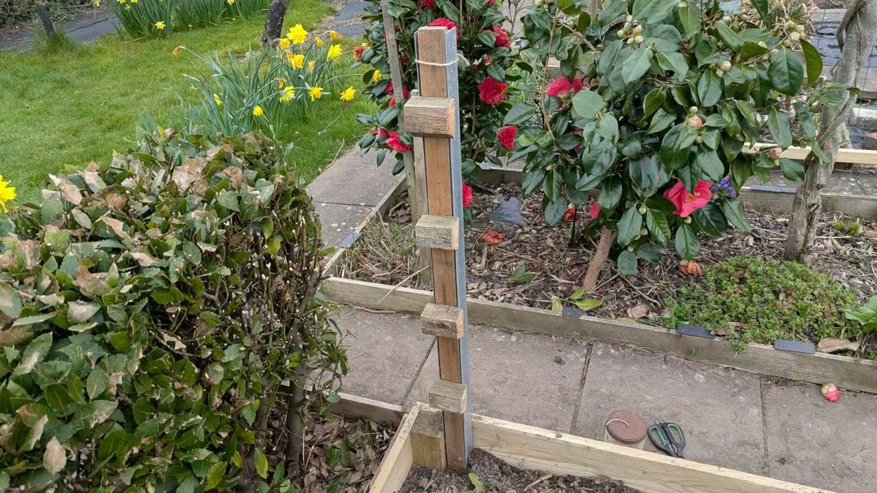 096-Construction Of A Support Frame For Dahlias-24th March 2025