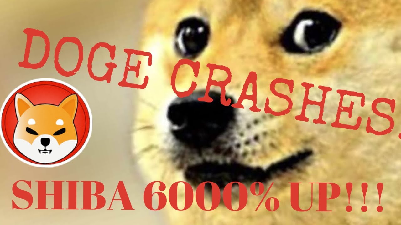 DOGECOIN KILLER SHIBA MOONS 6000% IN A DAY!!!! (DOGECOIN CRASHES)