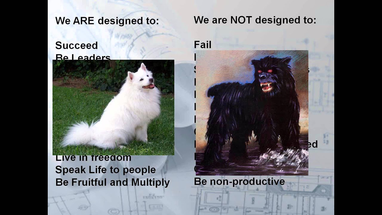 Principle Centered Leadership- Does it Really Matter?