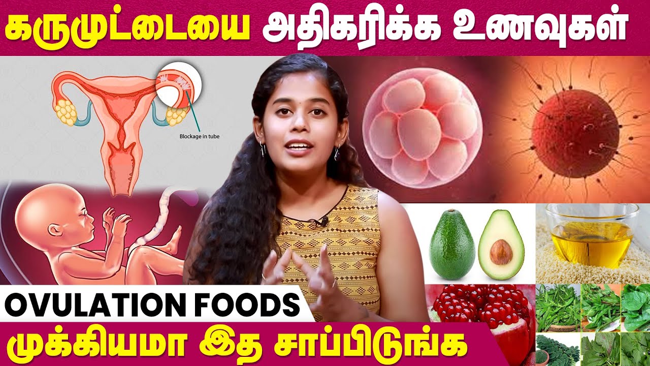 Healthy Foods for Ovulation | கருமுட்டை எண்ணிக்கை பிரச்சினையா?