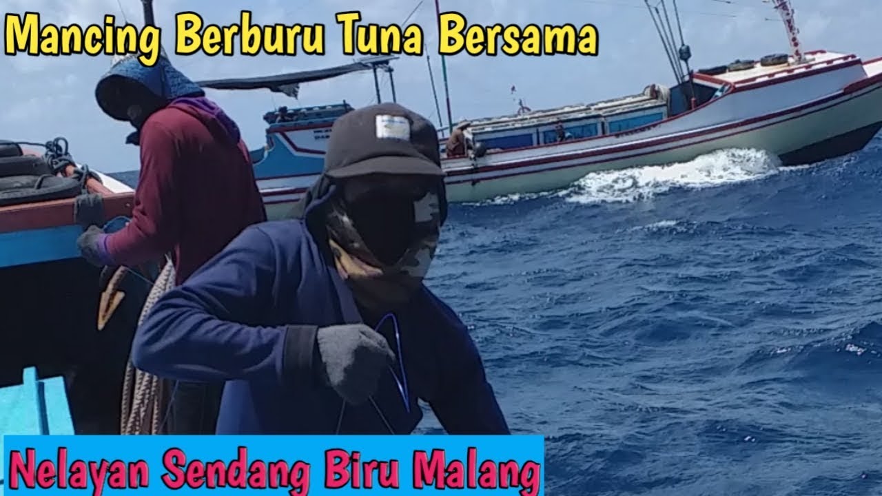 Dijamin Asyek||Mancing Berburu Tuna Besar Bersama Nelayan Sendang Biru Malang