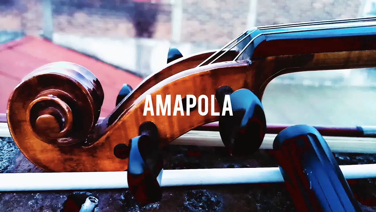 Amapola - violín y guitarra