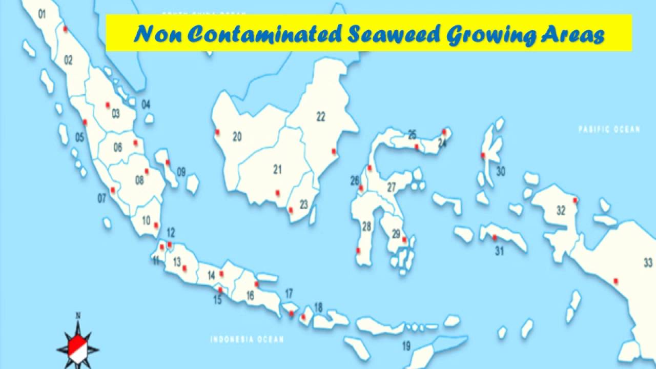 Carrageenan Industry Company Profile  PT Galic Artabahari