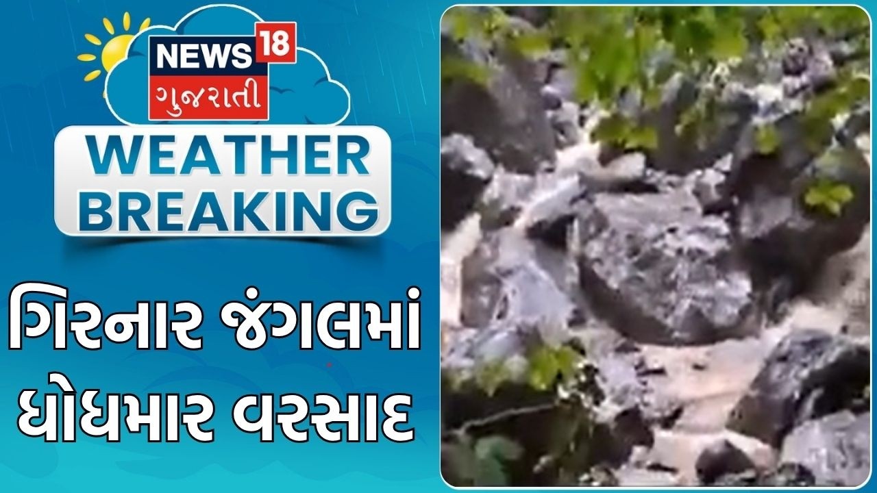 Junagadh Rain News | ગિરનાર જંગલમાં ધોધમાર વરસાદ | Monsoon | Heavy Rain | Gujarat Rain