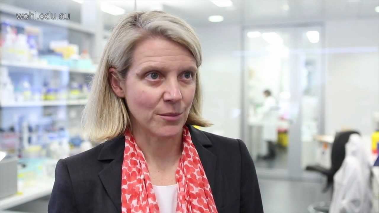 Cell death discovery suggests new ways to protect female fertility