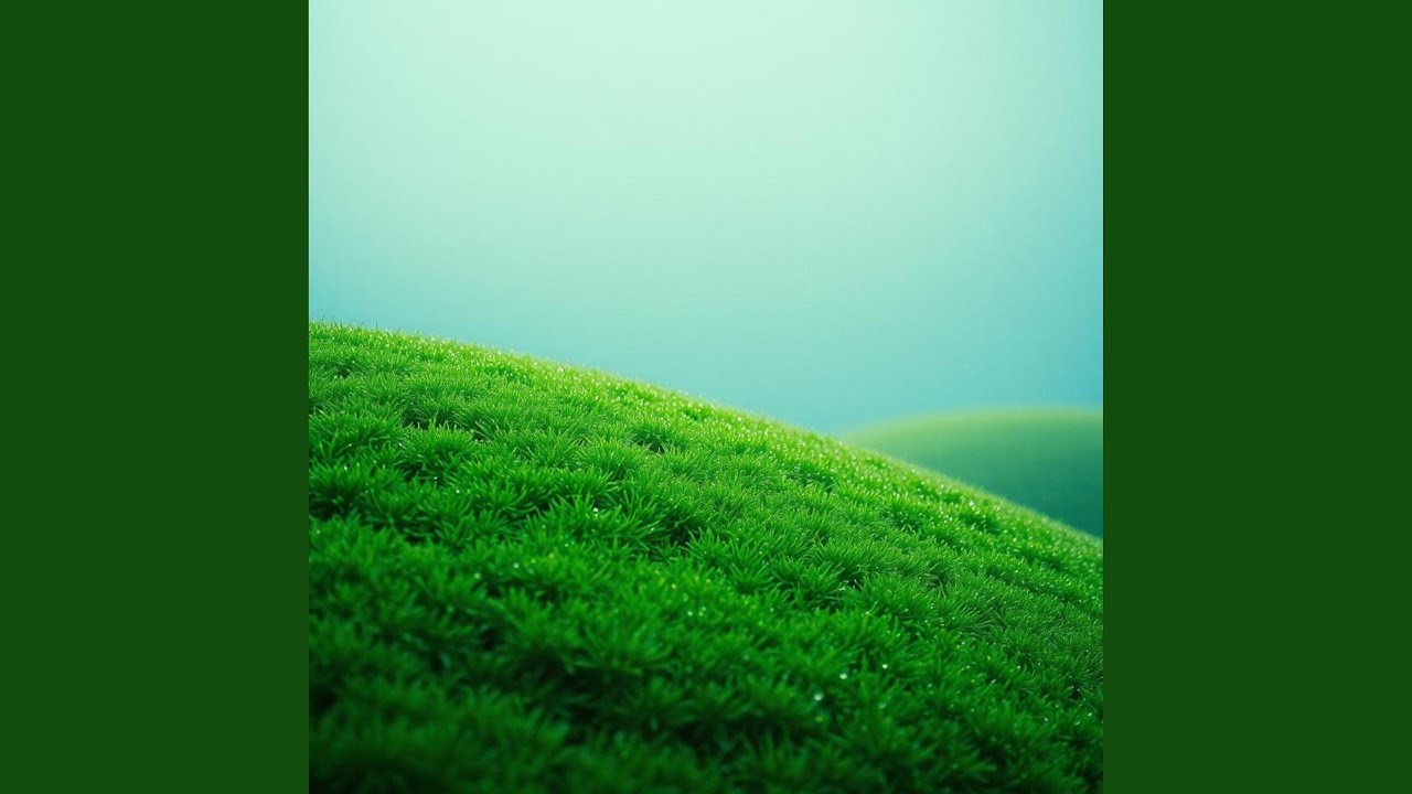 Wet Mountain