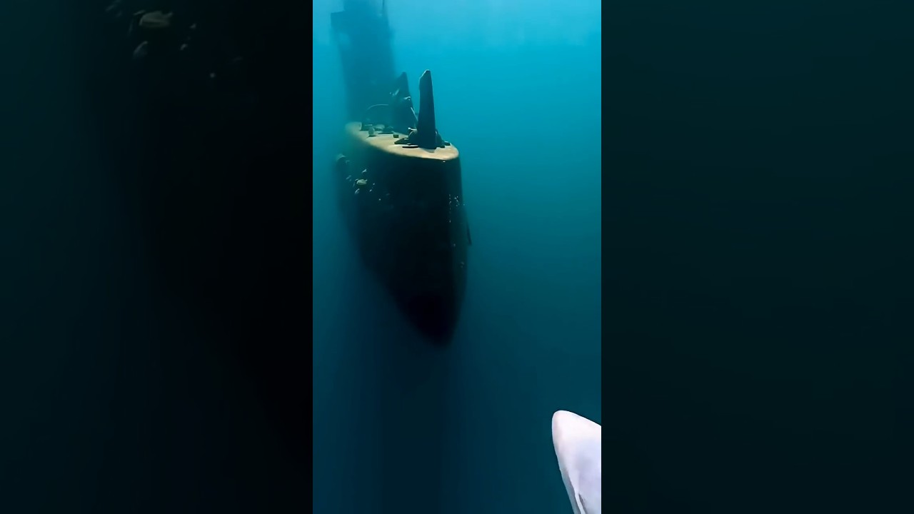 Затонувшая немецкая субмарина/Predatory Fish with a GoPro Explores a Sunken Soviet Submarine